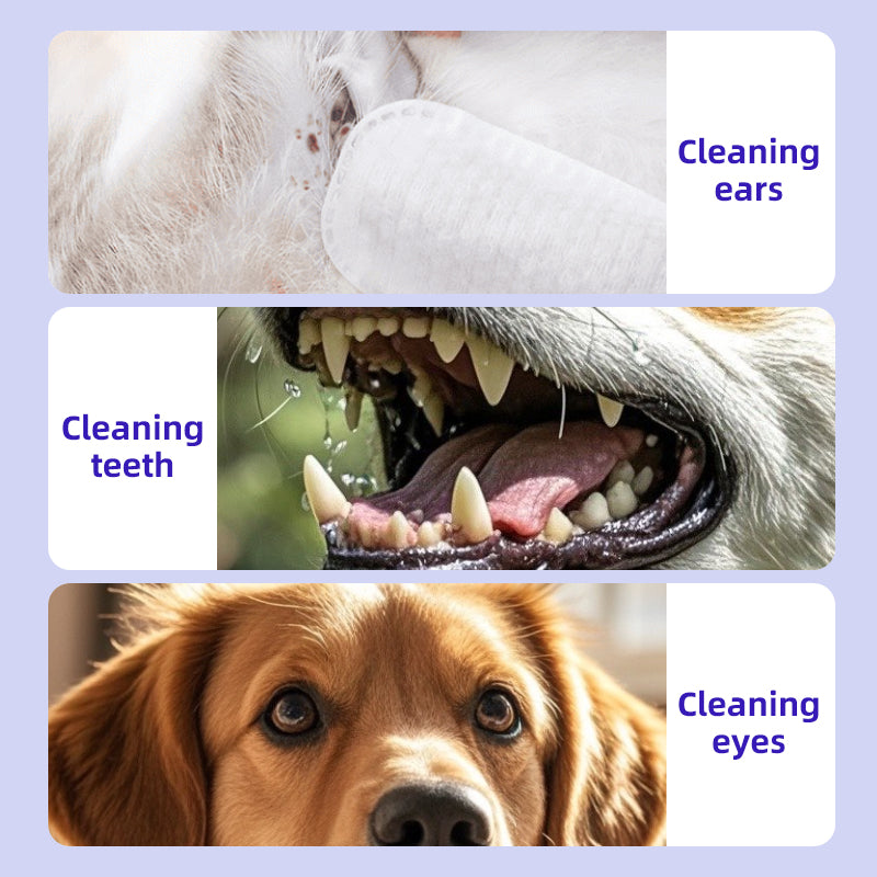 1. Infused with Aloe Vera and Vitamin E, effectively moisturizes the skin and coat while cleaning.
2. Pet-friendly wipes, no dyes, no bleach.
3. Safely removes sweat, body oils and dirt while deodorizing surfaces and fighting bacteria.
4. Super powerful, deep cleans, keeps it itch-free.
5. Powerfully cleans eye, ear, mouth, facial stains.
