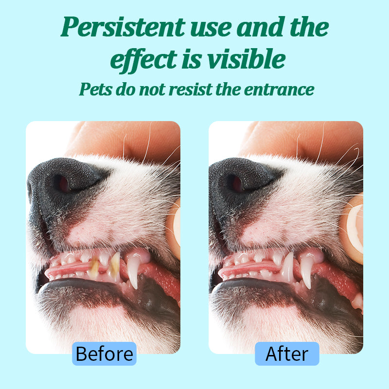 1. Universal wipes, can be used to clean skin and hair.
2. Pure water wipes, gentle formula, hypoallergenic, safe for sensitive skin.
3. Antibacterial deodorant wipes, effectively reduce dog dander, remove dirt and bacteria.
4. Bucket packaging wipes are not easy to leak, so pets stay fresh during travel.
5. Widened and enlarged finger wipes are more convenient to clean.