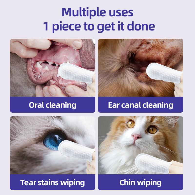 1、Finger-type wipes are more convenient to use and clean more carefully.
2、Gently remove ear wax, debris, sooths and deodorizes, relieve ear itching and inflammation.
3、Multi-purpose wipes, suitable for cleaning multiple parts of pets.
4、Exclusive formula technology, natural ingredients such as fermented coconut oil and tea tree oil are added to ensure a soothing and non-irritating experience.
5、Pet universal type, suitable for cats, dogs, rabbits, hamsters and other pets.