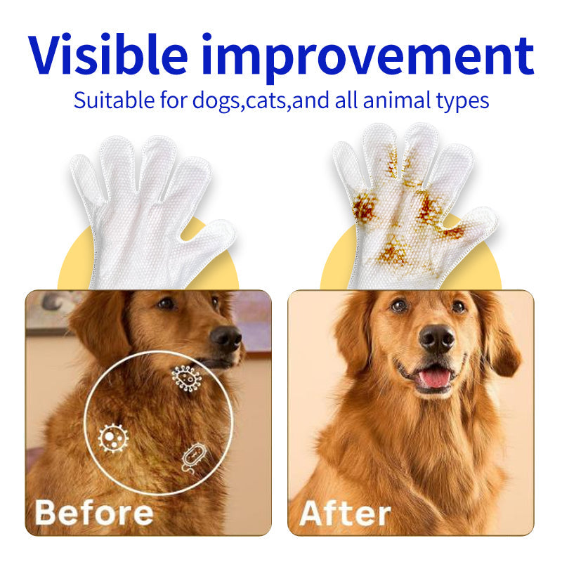 Are you troubled by your pet's ear odor? Mioszzi Ear Wipes are a simple solution.