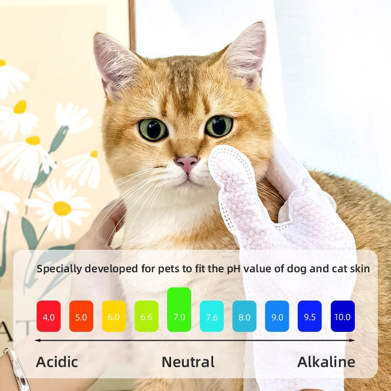 1. Gently removes dirt, debris and odors. Super strong deodorizing ability.

2. Infused with fermented coconut oil, nourishes and smoothes hair.

3. Removes sweat and dirt while fighting bacteria.

4. Fresh coconut scent calms and soothes pets' emotions, making pets fall in love with cleaning.

5. Multi-purpose pet glove wipes for cleaning body and ear wax.