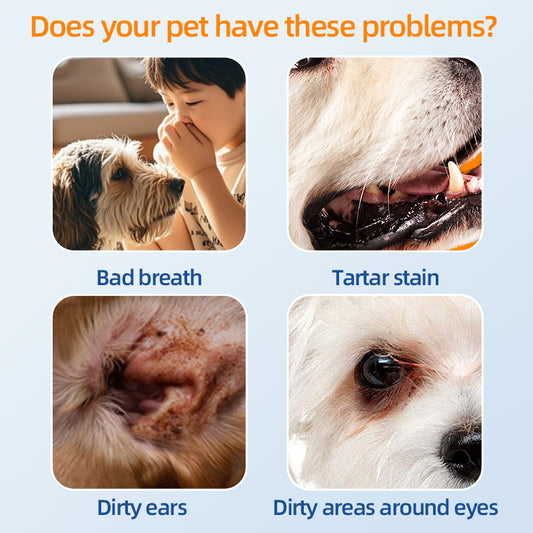 1. Contains aloe vera essence and vitamin E, effectively moisturizing the skin and hair while cleaning.

2. With a pet-friendly formula, the wipes do not contain dyes and bleach, gently caring for pets' skin.

3. Safely and efficiently remove sweat, body oil, and stubborn dirt, effectively deodorize and inhibit bacterial growth, keeping the pet's body surface fresh.

4. With super cleaning power, it thoroughly cleans deep into the pores and effectively relieves itching problems caused by dirt.