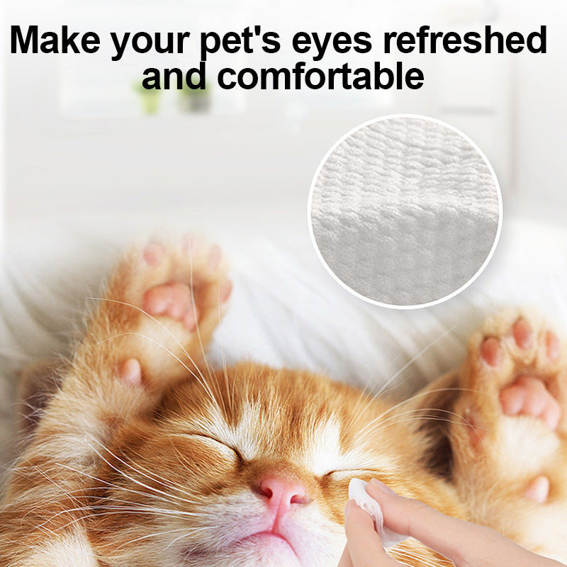 1. Added with aloe vera essence and fermented coconut oil, it cleans and deeply moisturizes pet skin and hair.

2. It does not contain dyes, bleach, etc., is gentle and non-irritating, suitable for cats and dogs, and can also be used by sensitive pets.

3. Removes sweat, body oil and stubborn dirt, deeply deodorizes and inhibits bacterial growth, and cleans more thoroughly.

4. The cleaning power reaches the root of the hair directly, and deeply cleans without residue, and the low-irritation formula reduces
