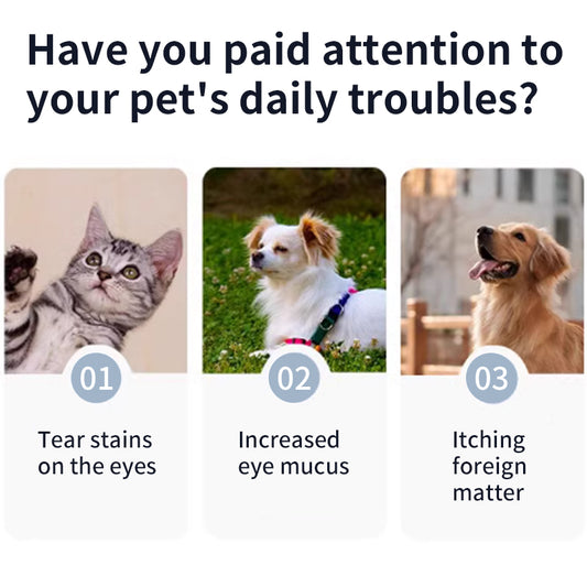 1. Natural organic ingredients, gentle plant formula, care for the health of pets.
2. Wipes can remove loose hairs and dirt for quick cleaning.
3. Wipe away environmental allergens or irritants to reduce dog dander well.
4. The added witch hazel extract can moisturize dry skin without rinsing, which is convenient and hygienic.
5. Universal wipes for puppies and large dogs.