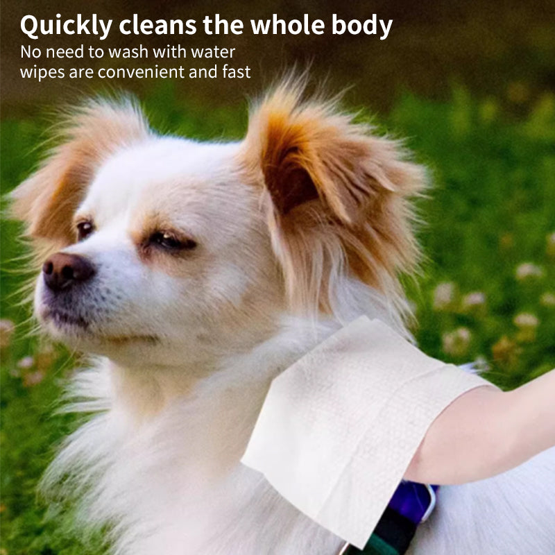 1. Natural organic ingredients, gentle plant formula, care for the health of pets.
2. Wipes can remove loose hairs and dirt for quick cleaning.
3. Wipe away environmental allergens or irritants to reduce dog dander well.
4. The added witch hazel extract can moisturize dry skin without rinsing, which is convenient and hygienic.
5. Universal wipes for puppies and large dogs.