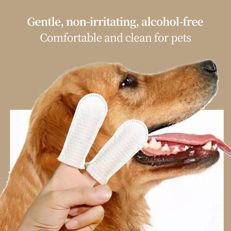 1. Infused with aloe vera and vitamin E, it effectively moisturizes skin and hair when cleansing.
2. Pet-friendly wipes, no dye, no bleach.
3. Safely removes sweat, body oil, and dirt while deodorizing surfaces and fighting bacteria.
4. Ultra-powerful, deep cleans, and itch-free.
5. Intensely cleanse eyes, ears, mouth, and facial stains.