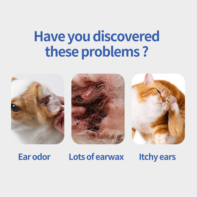 1. Gently remove dirt, debris, and odors. And has excellent deodorizing ability, bringing a refreshing experience to pets.

2. Added fermented coconut oil, tea tree oil, and aloe vera extract ingredients to deeply nourish the hair and smooth frizz.

3. Effectively remove sweat and dirt, while playing an antibacterial role to protect the health of pets.

4. Exuding a refreshing coconut aroma, it can calm and soothe the tension of pets, allowing pets to enjoy cleaning.

5. Multifunctional pet finger wipes,