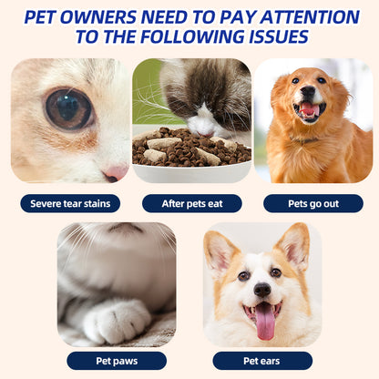 1. Water-based wipes, super absorbent, moisturizing pet skin.
2. Plant-based non-woven fabric, 3D three-dimensional pearl pattern, super thick and ultra-soft, tear resistant.
3. Deodorant wipes to effectively remove unpleasant odors.
4. Hypoallergenic formula, safe for cats and dogs.
5. Clean paws and skin, canned beauty cleaning wipes.