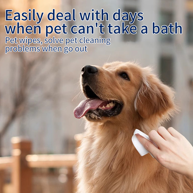 1. Soothing cleansing formula, clean anus and anal gland hygiene, so that pets are refreshed and comfortable.
2. Antibacterial and deodorant pet wipes can effectively kill bacteria.
3. Clean deodorant wipes to gently remove dirt, debris, and odors.
4. Universal pet wipes for cats, dogs, rabbits and hamsters.
5. Finger wipes can be cleaned 360 degrees without missing anything.