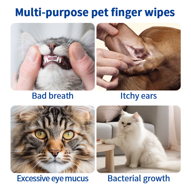 1. Safe formula, alcohol-free, pet-safe, pet-friendly wipes.
2. Add tea tree oil extract to nourish and smooth hair.
3. Powerful, effective in removing dirt and itching.
4. Multifunctional finger wipes for cleaning pet's buttocks and eyes.
5. Buckets of wet wipes, no need to worry about leakage.