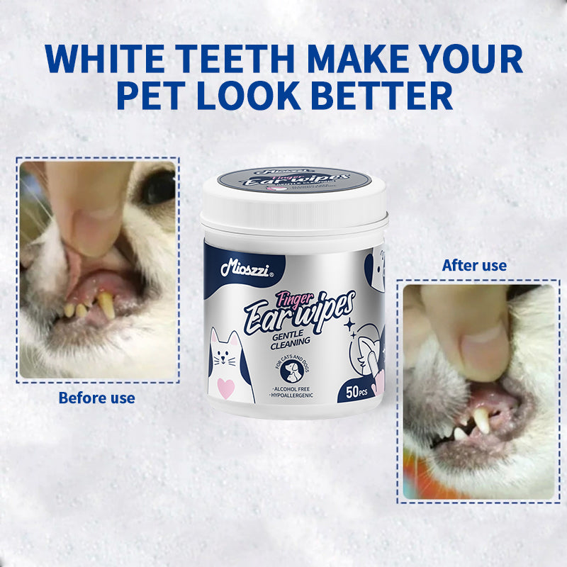 1. Safe formula, alcohol-free, pet-safe, pet-friendly wipes.
2. Add tea tree oil extract to nourish and smooth hair.
3. Powerful, effective in removing dirt and itching.
4. Multifunctional finger wipes for cleaning pet's buttocks and eyes.
5. Buckets of wet wipes, no need to worry about leakage.