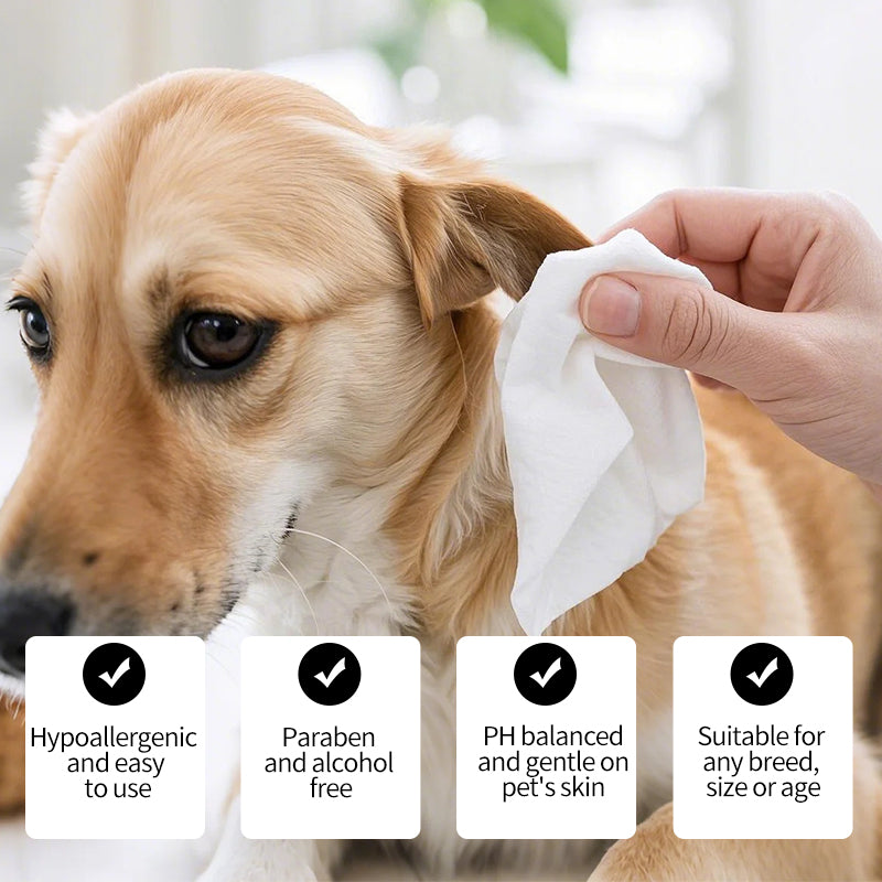 1. Selected witch hazel ingredients, using a gentle plant formula to protect pet health in all aspects.

2. Pearl pattern design can quickly remove loose hair and daily dirt on the pet's body surface for convenient cleaning.

3. Wipe away environmental allergens or irritants to reduce dog dander.

4. Contains hyaluronic acid, deeply moisturizes dry skin, and the rinse-free formula is more hygienic to use.

5. Universal pet wipes, safe for both puppies and large dogs.