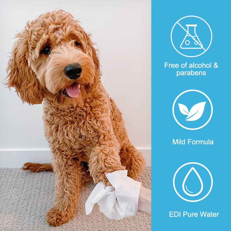 1. General-purpose wipes, designed for daily cleaning of pets, suitable for skin and hair care.

2. EDI pure water formula, mild and hypoallergenic formula, safer for sensitive skin.

3. Inhibit bacterial growth, significantly reduce dandruff production, and deepen decontamination more thoroughly.

4. Double-layer sealing design, leak-proof and moisture-locking, keep pets fresh for a long time during long journeys.

5. The larger and thicker single piece covers an area of 30%, the pearl pattern enhances fri