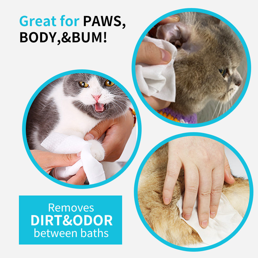 1. General-purpose wipes, designed for daily cleaning of pets, suitable for skin and hair care.

2. EDI pure water formula, mild and hypoallergenic formula, safer for sensitive skin.

3. Inhibit bacterial growth, significantly reduce dandruff production, and deepen decontamination more thoroughly.

4. Double-layer sealing design, leak-proof and moisture-locking, keep pets fresh for a long time during long journeys.

5. The larger and thicker single piece covers an area of 30%, the pearl pattern enhances fri