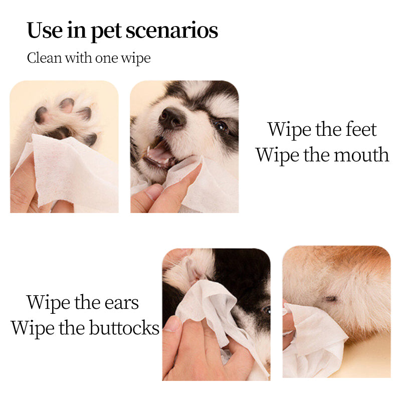 1. Safe formula, alcohol-free, safe for pets, pet-friendly wipes.

2. Added tea tree oil essence to nourish and smooth hair.

3. Powerful, effectively remove dirt and relieve itching.

4. Multifunctional finger wipes for cleaning pet buttocks and eyes.

5. Bucket packaging wipes, no need to worry about leakage.