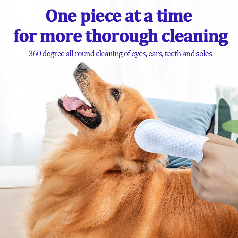 1. Water-based wipes, super absorbent, moisturizing pet skin.

2. Plant-based non-woven fabric, extra thick and soft, tear-resistant.

3. Deodorizing wipes, effectively remove unpleasant odors.

4. Hypoallergenic formula, safe for cats and dogs.

5. Clean paws and skin, canned beauty finger wipes.