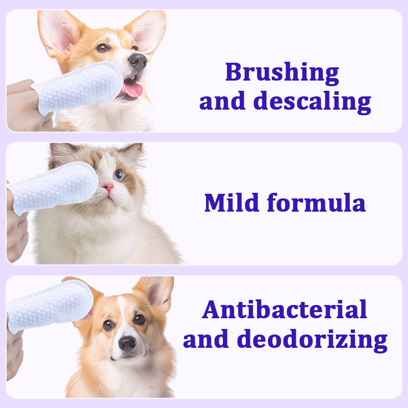 1. Water-based wipes, super absorbent, moisturizing pet skin.

2. Plant-based non-woven fabric, extra thick and soft, tear-resistant.

3. Deodorizing wipes, effectively remove unpleasant odors.

4. Hypoallergenic formula, safe for cats and dogs.

5. Clean paws and skin, canned beauty finger wipes.