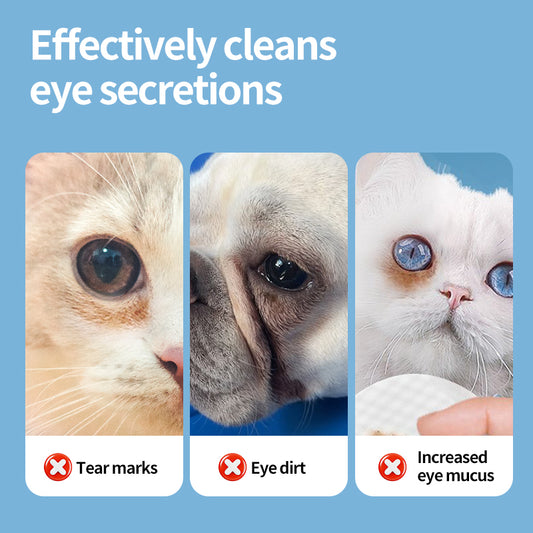 1. Water-based wipes, strong water absorption, quickly penetrate and moisturize pet skin, maintain soft touch.

2. 3D three-dimensional pearl pattern, soft touch, moderate friction, strong tear resistance, more efficient cleaning.

3. Add tea tree essential oil and fermented coconut oil to deeply decompose odor molecules, easily remove pet body odor and residual stains.

4. Contains no alcohol, fragrance or fluorescent agent, universal for cats and dogs, and safe for sensitive pets.