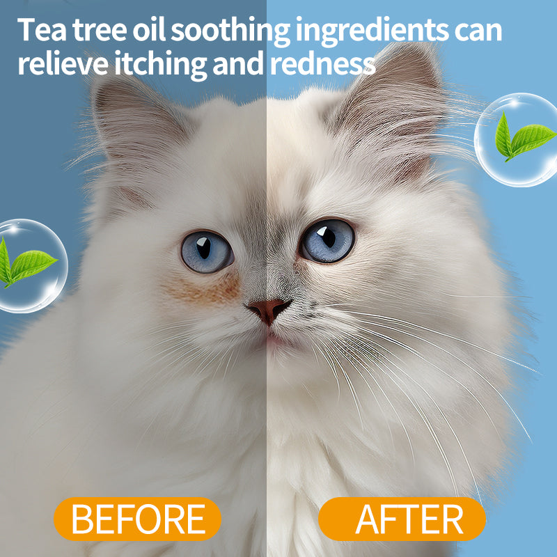 1. Water-based wipes, strong water absorption, quickly penetrate and moisturize pet skin, maintain soft touch.

2. 3D three-dimensional pearl pattern, soft touch, moderate friction, strong tear resistance, more efficient cleaning.

3. Add tea tree essential oil and fermented coconut oil to deeply decompose odor molecules, easily remove pet body odor and residual stains.

4. Contains no alcohol, fragrance or fluorescent agent, universal for cats and dogs, and safe for sensitive pets.