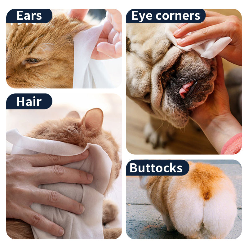 1. Made with a cleansing formula that cleanses and tear-stains, leaving skin feeling clean and fresh.
2. Added hyaluronic acid for a deep cleanse that removes dirt, dander and pet odors.
3. Added plant extracts to cleanse and moisturize skin and hair.
4. Antibacterial and deodorant wipes to effectively prevent the spread of dirt, odor and bacteria.
5. Thick non-woven fabric design, 360 degree clean whole body, dog and cat grooming wipes.