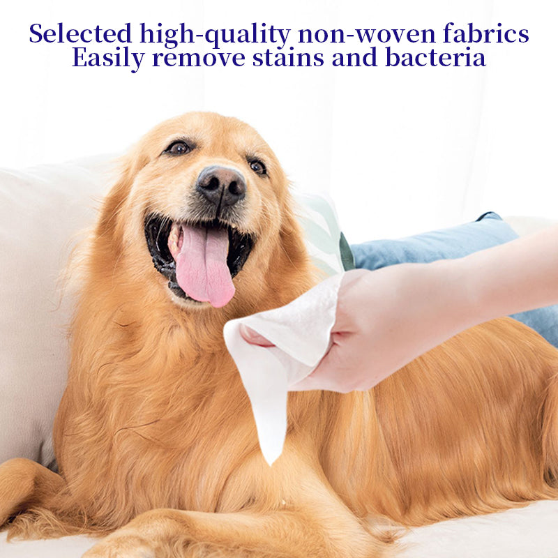 1. Made with a cleansing formula that cleanses and tear-stains, leaving skin feeling clean and fresh.
2. Added hyaluronic acid for a deep cleanse that removes dirt, dander and pet odors.
3. Added plant extracts to cleanse and moisturize skin and hair.
4. Antibacterial and deodorant wipes to effectively prevent the spread of dirt, odor and bacteria.
5. Thick non-woven fabric design, 360 degree clean whole body, dog and cat grooming wipes.