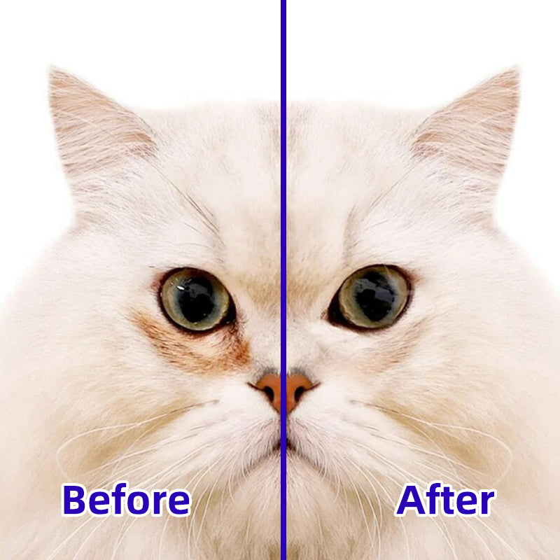 1. Hypoallergenic cleansing formula effectively cleans and removes tear stains for a fresh, clean skin experience.

2. Add hyaluronic acid ingredients, deep clean skin, and easily remove dirt, dander, and pet odor.

3.Witch hazel extract, clean and nourish the skin and hair, care for the health of pets.

4. Antibacterial deodorizing wipes effectively inhibit the growth of dirt, odor, and bacteria to maintain a hygienic environment for pets.

5. Designed with thick non-woven fabric to achieve 360-degree