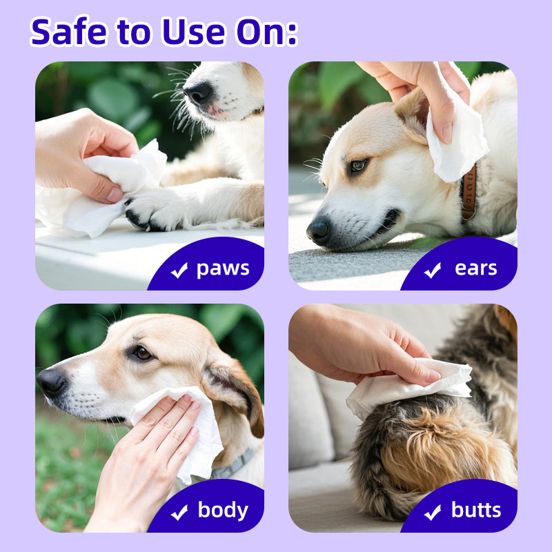 1. Hypoallergenic cleansing formula effectively cleans and removes tear stains for a fresh, clean skin experience.

2. Add hyaluronic acid ingredients, deep clean skin, and easily remove dirt, dander, and pet odor.

3.Witch hazel extract, clean and nourish the skin and hair, care for the health of pets.

4. Antibacterial deodorizing wipes effectively inhibit the growth of dirt, odor, and bacteria to maintain a hygienic environment for pets.

5. Designed with thick non-woven fabric to achieve 360-degree