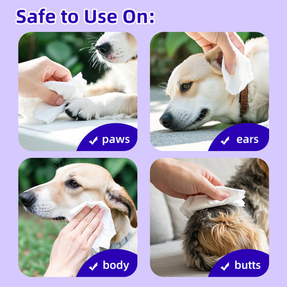 1. Hypoallergenic cleansing formula effectively cleans and removes tear stains for a fresh, clean skin experience.

2. Add hyaluronic acid ingredients, deep clean skin, and easily remove dirt, dander, and pet odor.

3.Witch hazel extract, clean and nourish the skin and hair, care for the health of pets.

4. Antibacterial deodorizing wipes effectively inhibit the growth of dirt, odor, and bacteria to maintain a hygienic environment for pets.

5. Designed with thick non-woven fabric to achieve 360-degree